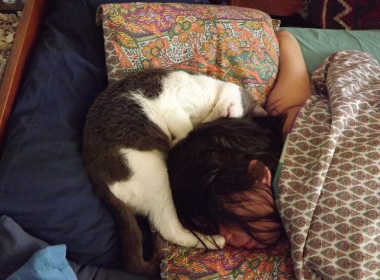Cat Sleeping Above My Head: 11 Spiritual Meanings