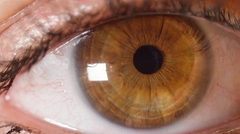 Amber Eyes Shown in Rare and Stunning Photos
