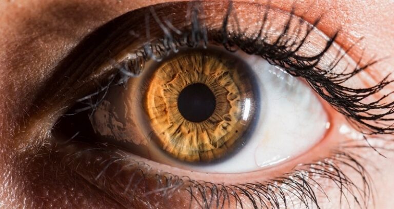 Spiritual Meaning of Hazel Eyes: Exploring the Symbolism