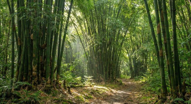 11 Spiritual Meanings of Bamboo: Resilience, Growth, and Inner Peace